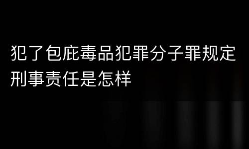 犯了包庇毒品犯罪分子罪规定刑事责任是怎样