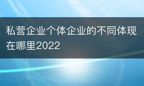 私营企业个体企业的不同体现在哪里2022