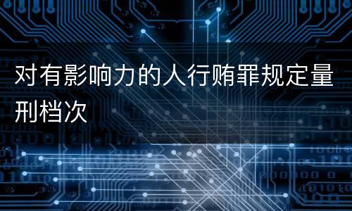 对有影响力的人行贿罪规定量刑档次