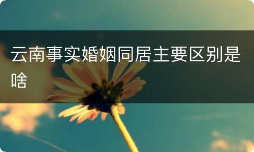 云南事实婚姻同居主要区别是啥