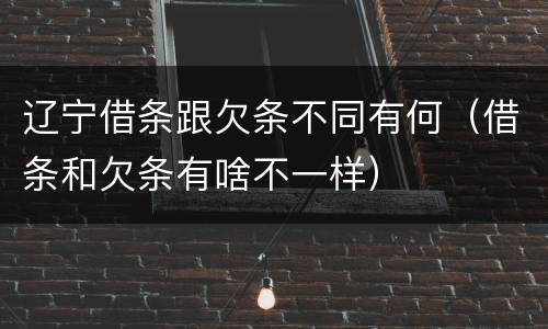 辽宁借条跟欠条不同有何（借条和欠条有啥不一样）