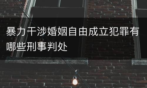 暴力干涉婚姻自由成立犯罪有哪些刑事判处