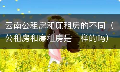 云南公租房和廉租房的不同（公租房和廉租房是一样的吗）