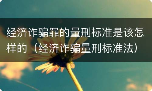 经济诈骗罪的量刑标准是该怎样的（经济诈骗量刑标准法）
