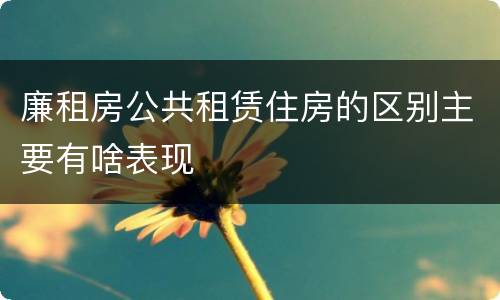 廉租房公共租赁住房的区别主要有啥表现