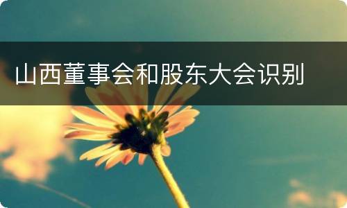 山西董事会和股东大会识别