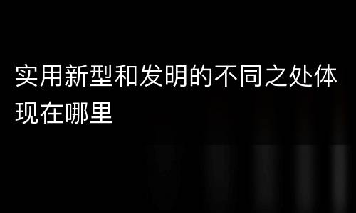 实用新型和发明的不同之处体现在哪里