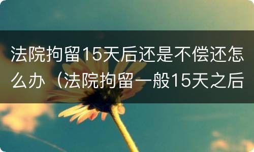 法院拘留15天后还是不偿还怎么办（法院拘留一般15天之后怎么办）