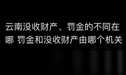 云南没收财产、罚金的不同在哪 罚金和没收财产由哪个机关执行