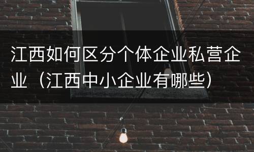 江西如何区分个体企业私营企业（江西中小企业有哪些）