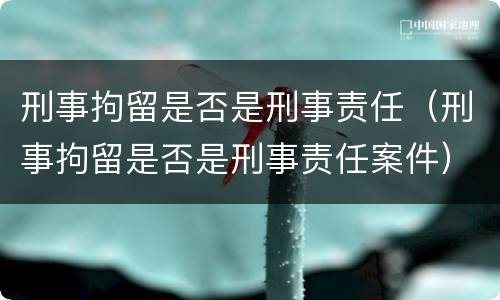 刑事拘留是否是刑事责任（刑事拘留是否是刑事责任案件）