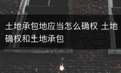 土地承包地应当怎么确权 土地确权和土地承包