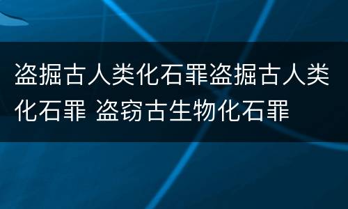 盗掘古人类化石罪盗掘古人类化石罪 盗窃古生物化石罪