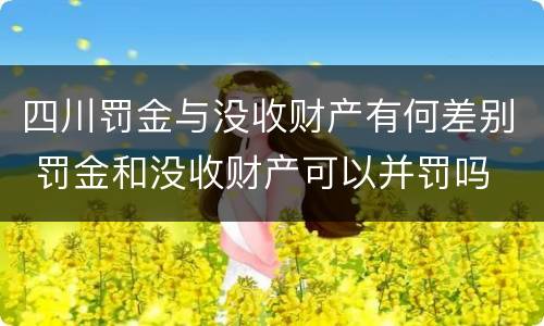 四川罚金与没收财产有何差别 罚金和没收财产可以并罚吗