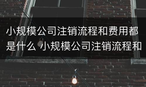 小规模公司注销流程和费用都是什么 小规模公司注销流程和费用都是什么意思
