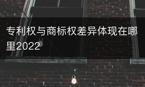 专利权与商标权差异体现在哪里2022