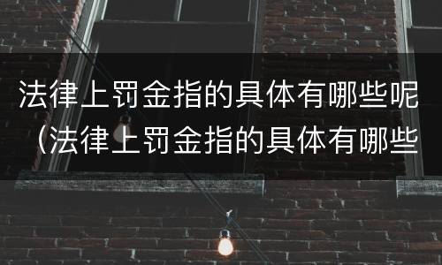 法律上罚金指的具体有哪些呢（法律上罚金指的具体有哪些呢怎么计算）