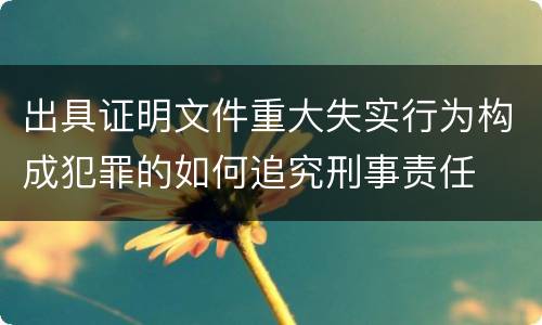 出具证明文件重大失实行为构成犯罪的如何追究刑事责任