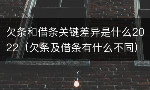 欠条和借条关键差异是什么2022（欠条及借条有什么不同）