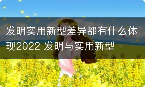 发明实用新型差异都有什么体现2022 发明与实用新型