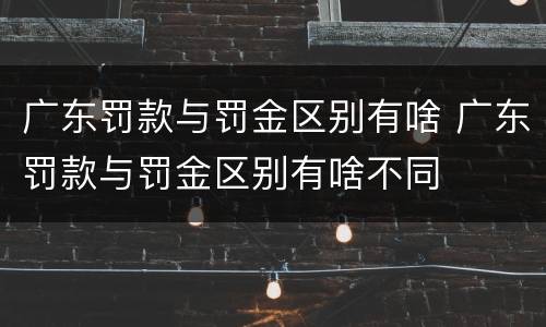 广东罚款与罚金区别有啥 广东罚款与罚金区别有啥不同