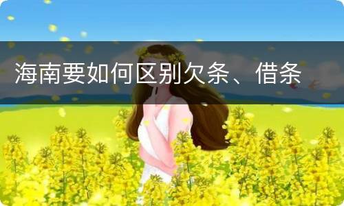 海南要如何区别欠条、借条