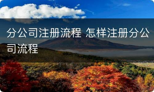 分公司注册流程 怎样注册分公司流程