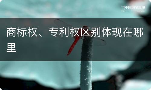 商标权、专利权区别体现在哪里