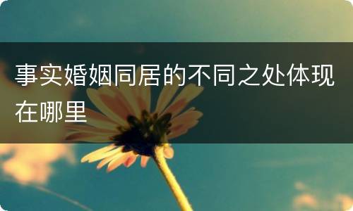 事实婚姻同居的不同之处体现在哪里