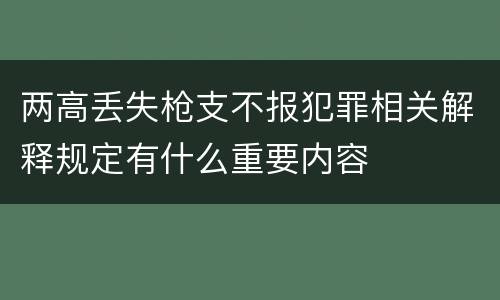 两高丢失枪支不报犯罪相关解释规定有什么重要内容