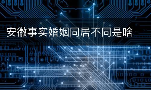 安徽事实婚姻同居不同是啥