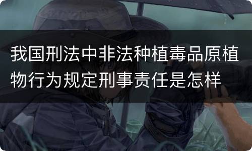 我国刑法中非法种植毒品原植物行为规定刑事责任是怎样