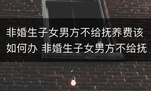 非婚生子女男方不给抚养费该如何办 非婚生子女男方不给抚养费该如何办理