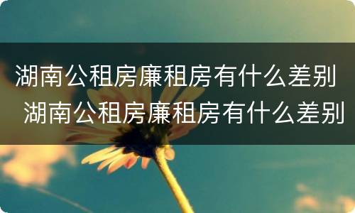 湖南公租房廉租房有什么差别 湖南公租房廉租房有什么差别吗