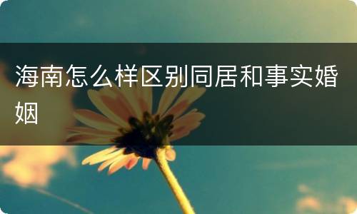 海南怎么样区别同居和事实婚姻