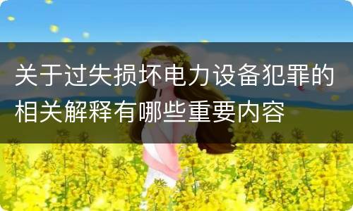 关于过失损坏电力设备犯罪的相关解释有哪些重要内容