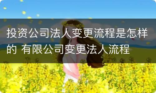 投资公司法人变更流程是怎样的 有限公司变更法人流程