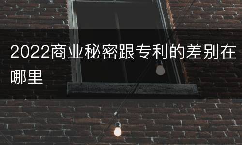 2022商业秘密跟专利的差别在哪里