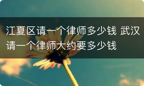 江夏区请一个律师多少钱 武汉请一个律师大约要多少钱