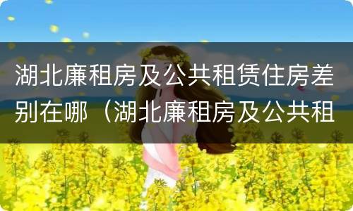 湖北廉租房及公共租赁住房差别在哪（湖北廉租房及公共租赁住房差别在哪里）