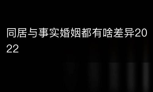 同居与事实婚姻都有啥差异2022