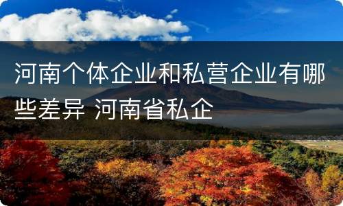 河南个体企业和私营企业有哪些差异 河南省私企