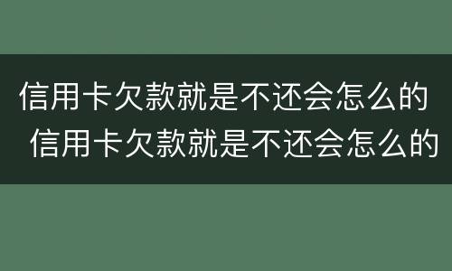 信用卡欠款就是不还会怎么的 信用卡欠款就是不还会怎么的办