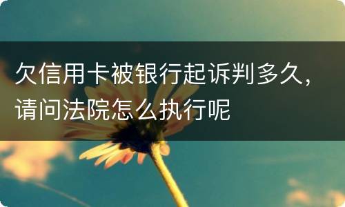 欠信用卡被银行起诉判多久，请问法院怎么执行呢