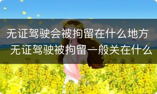 无证驾驶会被拘留在什么地方 无证驾驶被拘留一般关在什么地方?