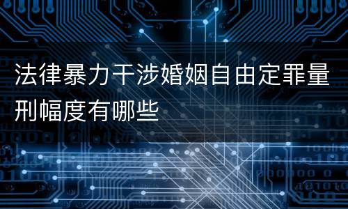 法律暴力干涉婚姻自由定罪量刑幅度有哪些