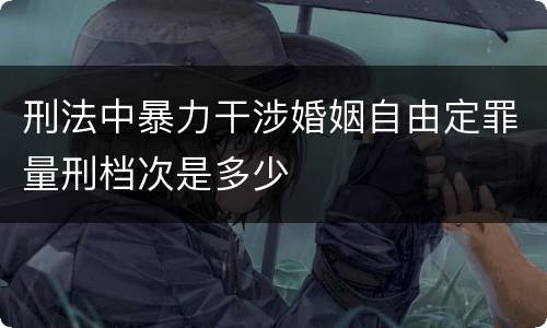 刑法中暴力干涉婚姻自由定罪量刑档次是多少