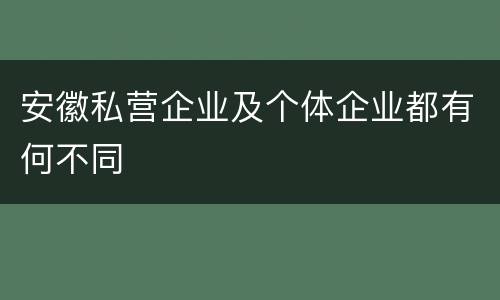 安徽私营企业及个体企业都有何不同