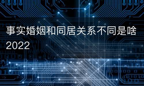 事实婚姻和同居关系不同是啥2022
