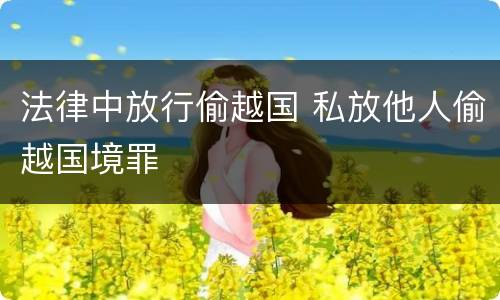 法律中放行偷越国 私放他人偷越国境罪